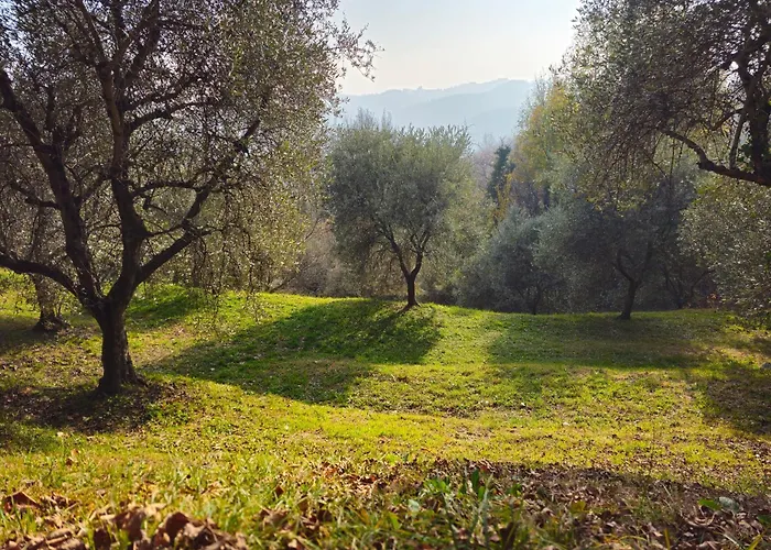 לינה וארוחת בוקר Ca'baracca Bellavista בסאנו דל גראפה