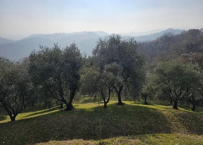 Ca'baracca Bellavista