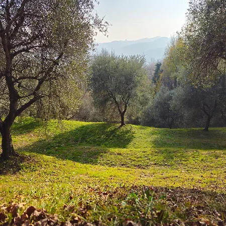 Bed & Breakfast Ca'baracca Bellavista Bassano del Grappa